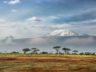 Payments Safari Tour Operators