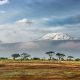 Payments Safari Tour Operators